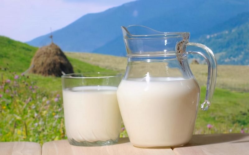 Công dụng của sữa với sức khỏe người bị đau dạ dày có nên uống sữa không