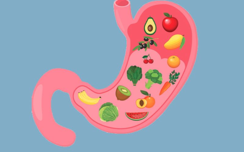 Cách nấu ăn cũng là yếu tố quan trọng giúp dạ dày khoẻ