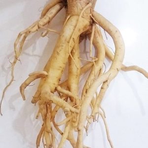 Đinh lăng rể