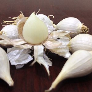 Tỏi cô đơn Lý Sơn