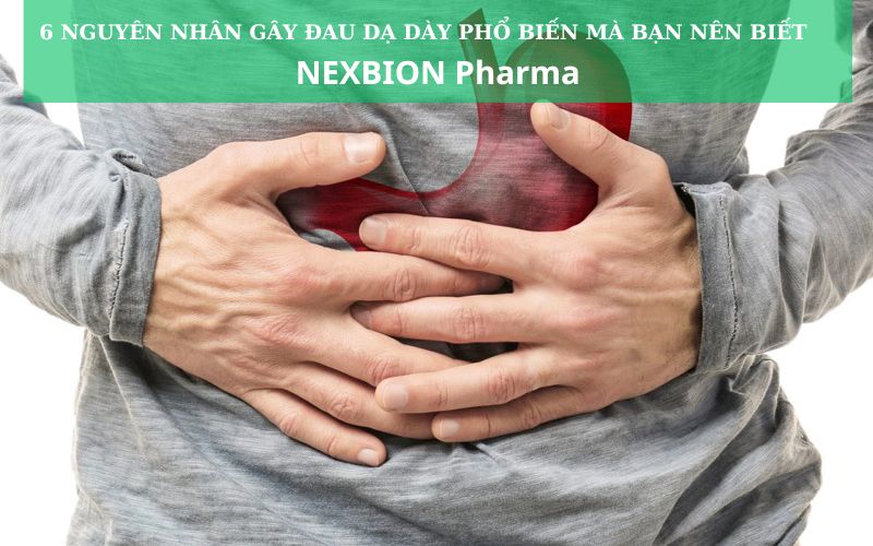 Nguyên nhân đau dạ dày