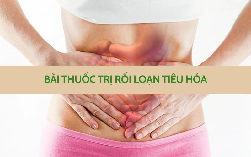 bài thuốc trị rối loạn tiêu hóa